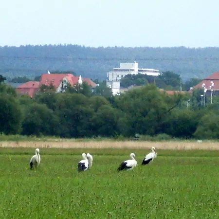 فندق Klara Birnbaum